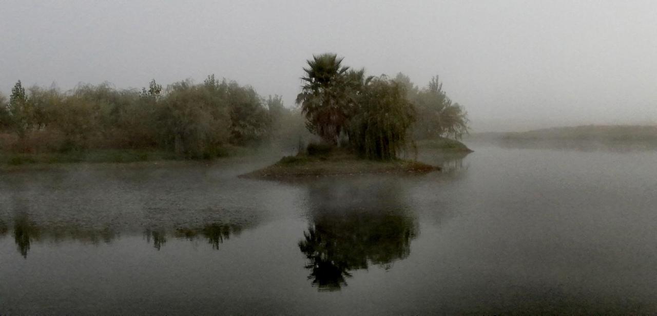 Herdade Da Diabroria - Agroturismo Beringel Exteriör bild